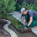 Landscape Gardener Laying Turf For New Lawn