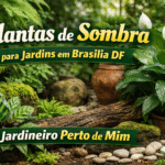 Plantas de Sombra: Guia Completo para Jardins em Brasília DF